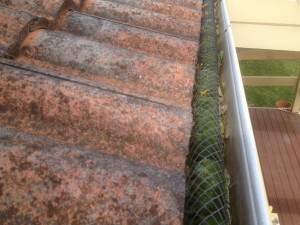Plastic self installed mesh